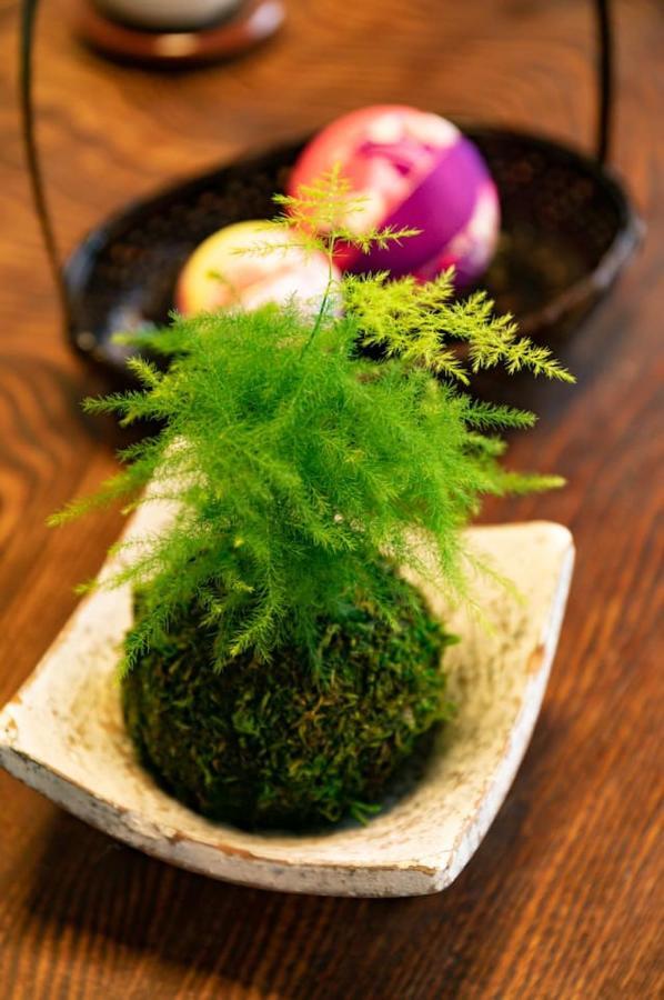 Japanese Traditional House Near Ueno, Skytree And Asakusa Ferienhaus *